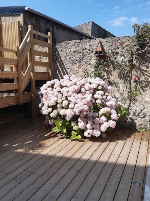 Champêtre - Gîte entièrement neuf à 100 mètres de la plage Wimereux Exterior foto